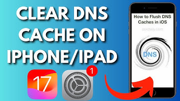 How To Clear DNS Cache On iPhone/iPad