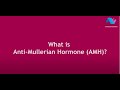 What is Anti-Mullerian Hormone (AMH) | Dr. Sneha J