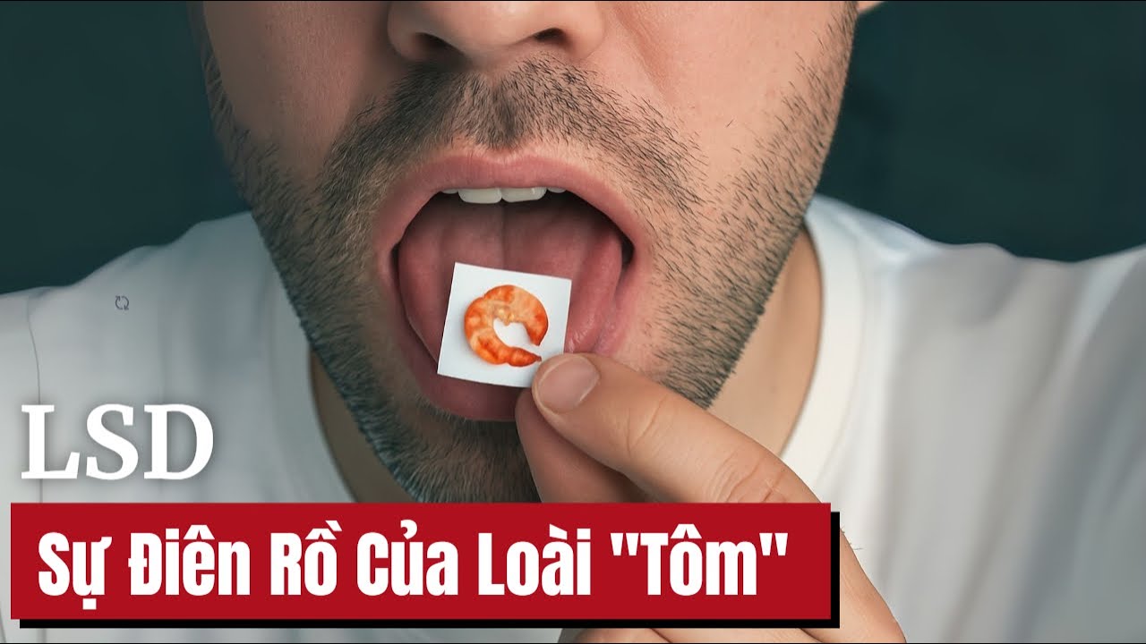 (18+) LSD & Sự Điên Rồ Của Loài 