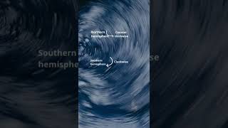 Famous Coriolis force: movement of water II Interesting science #science #viralshorts #viral Net Worth