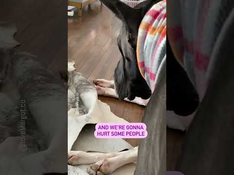 Serious planning 😅