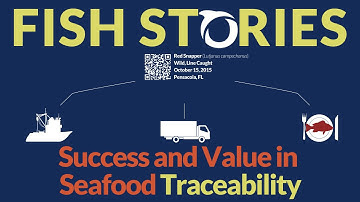Fish Stories: Success and Value in Seafood Traceability