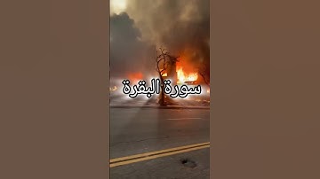 ماهر المعيقلي - سورة البقرة