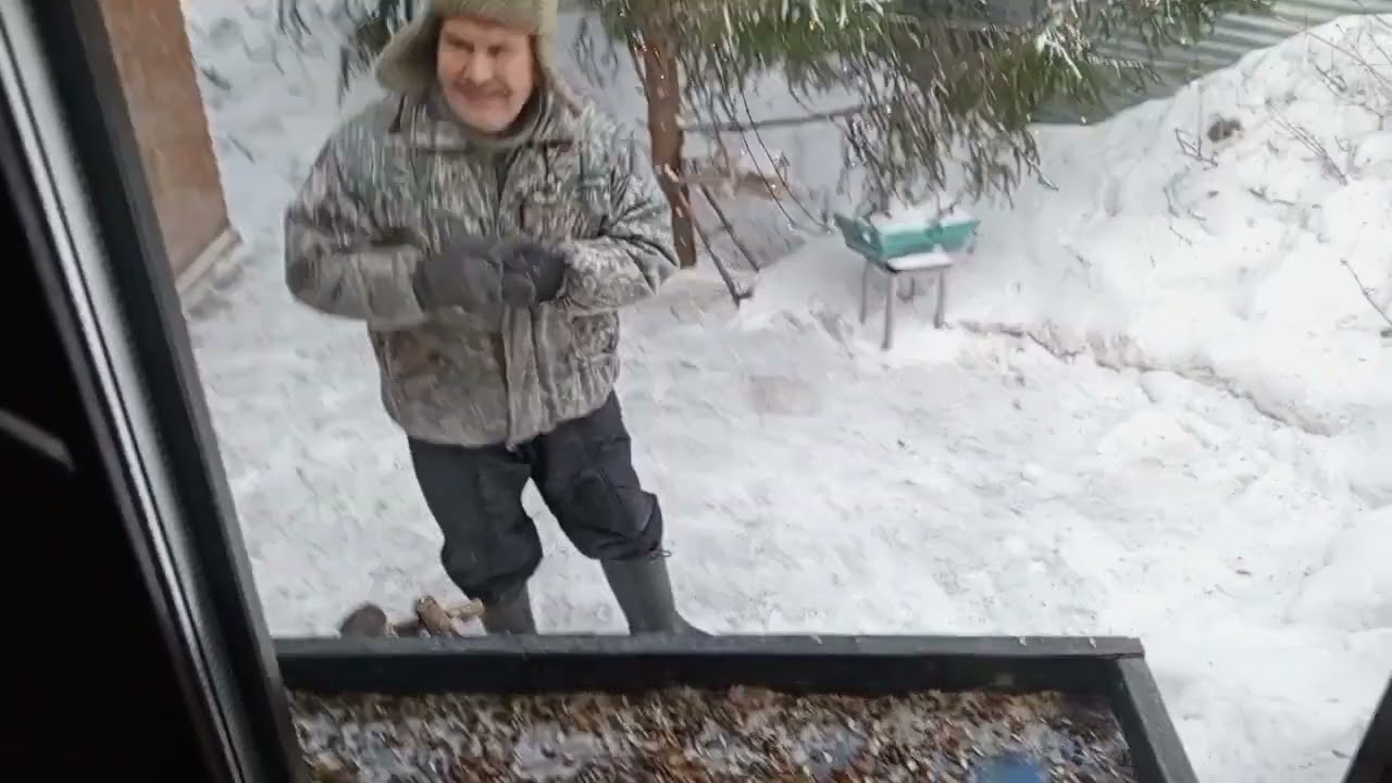 Дикий зоопарк во вторник.Карта на корм зверятам 2202 2062 6013 7323