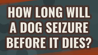 How long will a dog seizure before it dies?