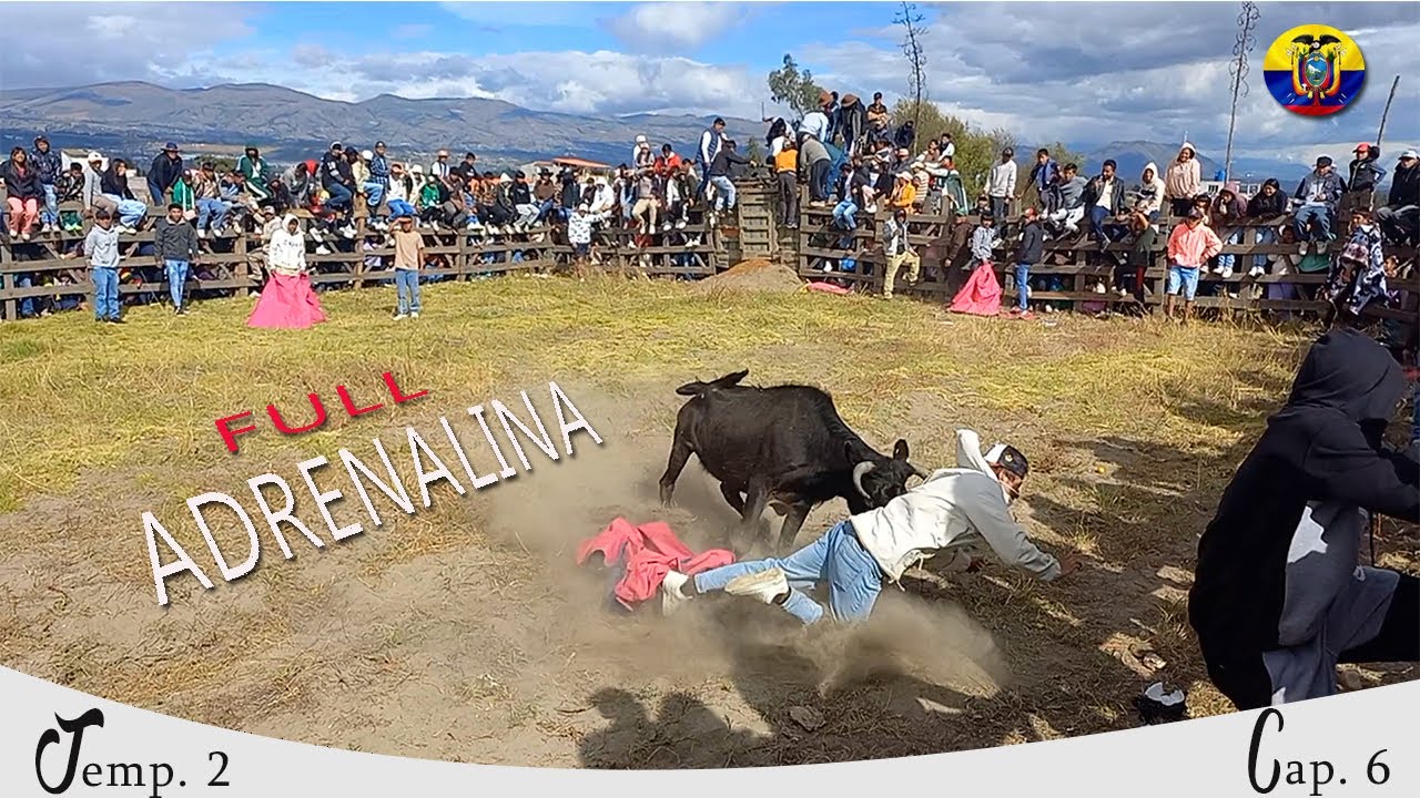 Toros de pueblo | Pilacoto 2025 | Sustos | Brutales enmbestidas | Tradición Taurina | Cap. 06