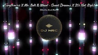 Eurythmics X Mr. Belt & Wezol - Sweet Dreams X It's Not Right (Sebastian Bronk Mashup) #mashup