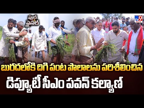 Full & Final | బురదలోకి దిగి పంట పొలాలను పరిశీలించిన డిప్యూటీ సీఎం పవన్ కల్యాణ్ | Pawan Kalyan-TV9 - TV9