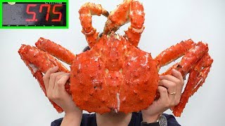 Giant King Crab