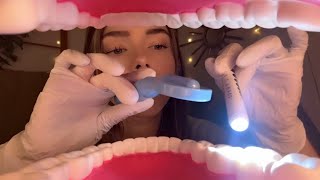 Asmr Dentist Exam