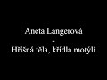 Aneta Langerová - Hříšná těla, křídla motýlí (Text, Lyrics)