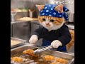 きょう5月6日は #コロッケの日 ✨揚げ物って美味しいよね🤤🥢 #ふてニャン #猫 #cat