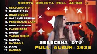 [SHINTA ARSINTA]-SEKECEWA ITU - FULL ALBUM TERBARU 2025 - Hits - Kualitas HD - Audio Jernih - koplo