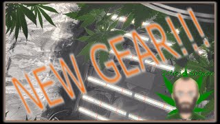 NEW ROUND NEW GEAR! | MK ULTRA MAUI WOWIE SOUR DIESEL NORTHERN LIGHTS AUTO | GROWING WITH MARS HYDRO