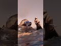 Red Sea jump
