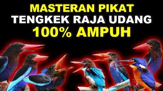 MASTERAN PANCINGAN PIKAT TENGKEK RAJA UDANG KINGFIHSER