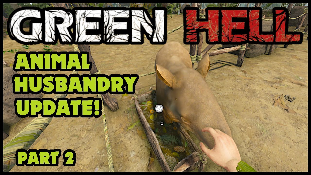 Animal Husbandry Update and the Best Food to Feed Them! How to Green