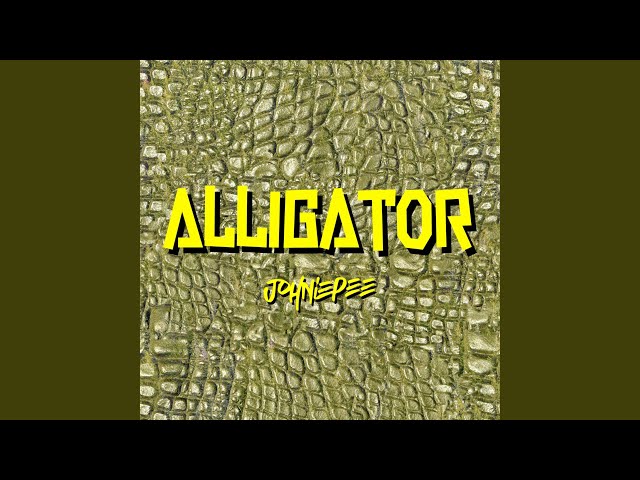 Alligator
