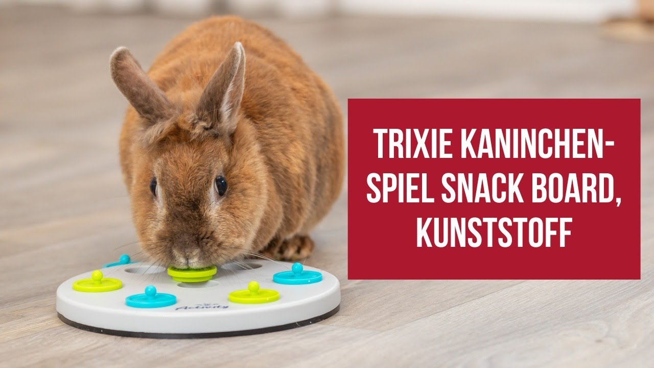 TRIXIE Snack Board fr Kaninchen  Intelligenzspielzeug fr artgerechte  Beschftigung & Training