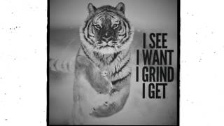 Assumption Baseball 2017