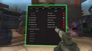 CS2 EXTERNAL LEGIT CHEATING IN HIGH RANK ft. lethality.io