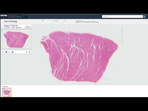 Sectra Education Portal: Histopathology Package