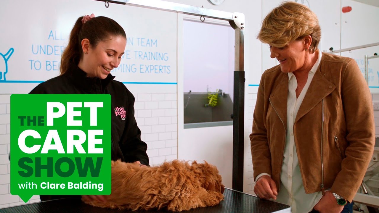 Grooming Your Dog: How Often and Why. The Pet Care Show with Clare Balding | PETS AT HOME
