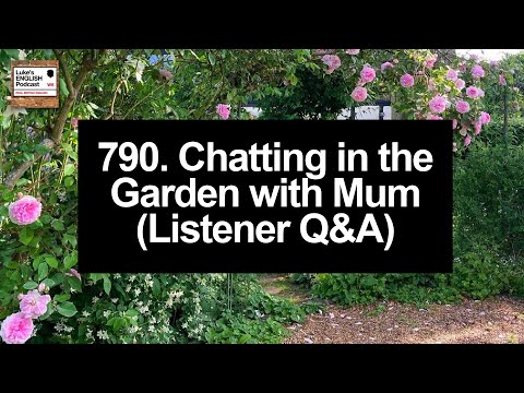 YouTube video transcript