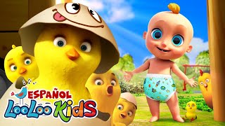 Los Pollitos Pio Pio - Canciones Para Niños! - Canciones Infantiles En Español - Dibujos Animados