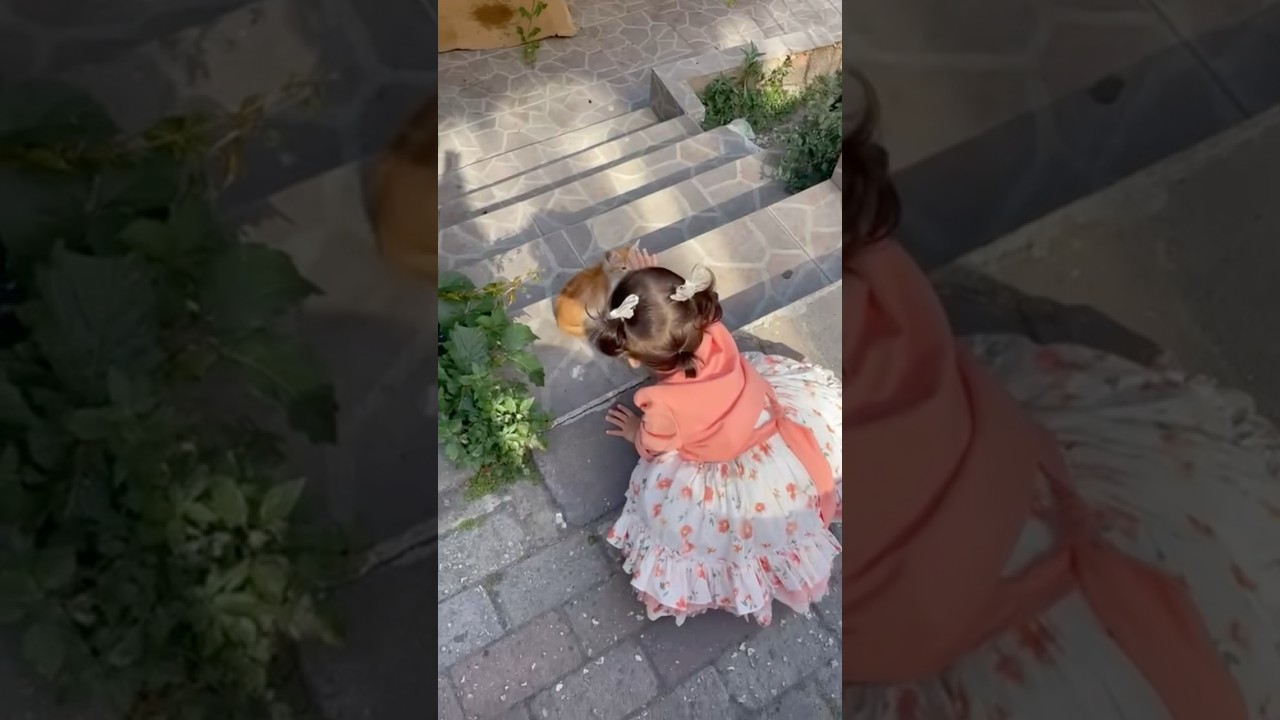 لولو والقطة 🐈#babyshorts #baby #cutebaby #shortvideo #smile #shorts #short