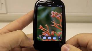 Palm Pre+ Downloading an app screenshot 5