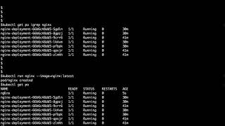 Kubectl Basic Commands Net Worth
