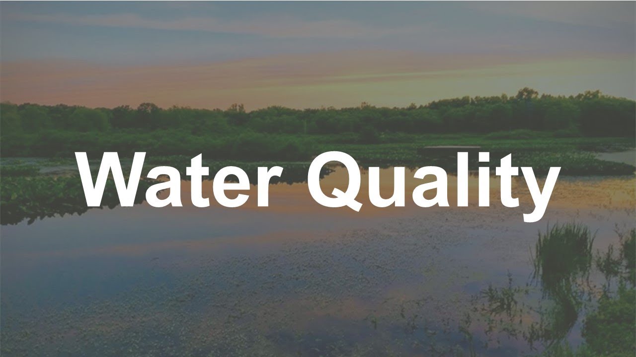 Water Quality YouTube
