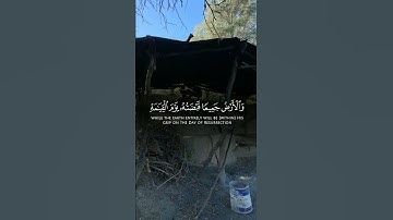 صوت جميل مع قارئ خالد الجليل #اكسبلور #duet #دويتو #لايك #متابعه