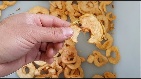 Spray optical sorting machine for dried apples | RAYTEC VISION SpA