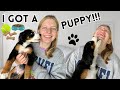 I GOT A NEW PUPPY 