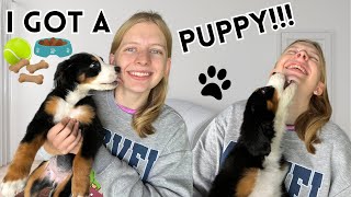 I GOT A NEW PUPPY!