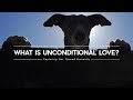 What Is Unconditional Love?