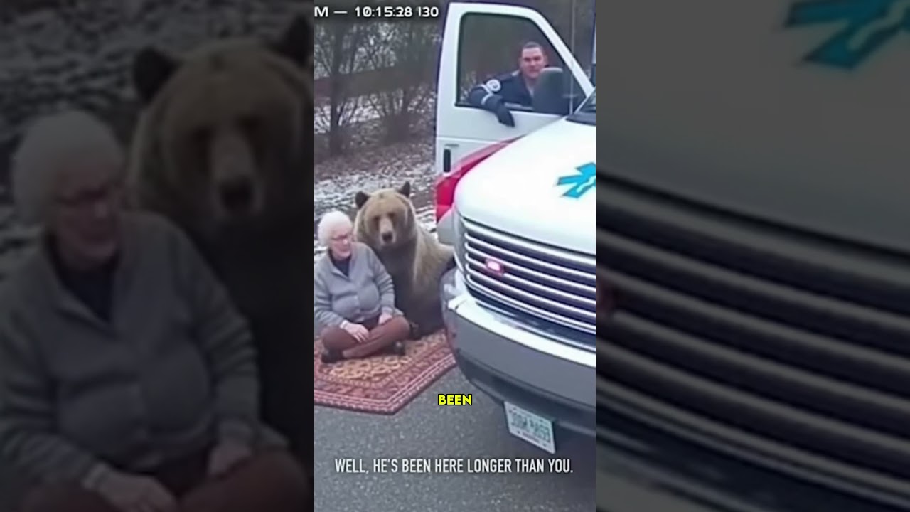 Утренний чай от бабушки с медведем гризли! ☕️🐻 "Он был здесь первым!"