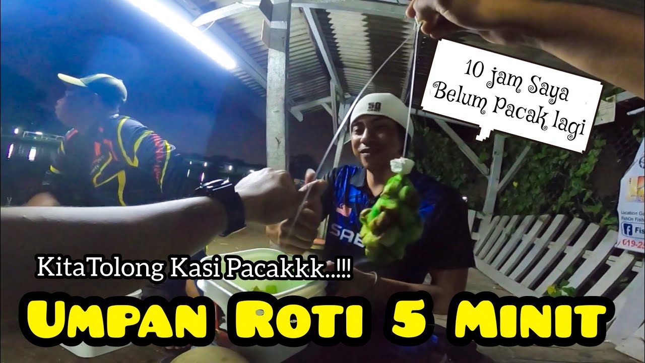 Umpan Killer Ikan Patin / Chaopharaya / Pacu Dan Mekong || #JomPancing86