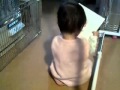 どんどこももんちゃん
