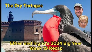 Ethan and Ingrid's 2024 Big Year (Week 19)