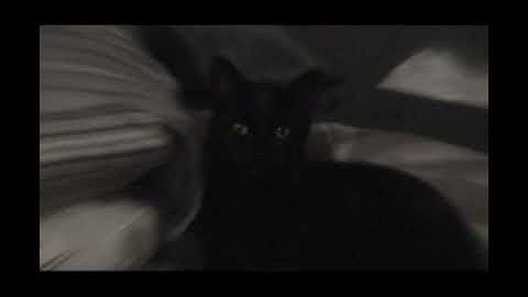 Entry log #5 [07:01 PM 17/11/25]