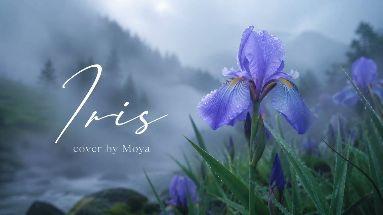 Iris - Goo Goo Dolls cover by Moya