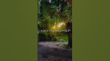 القرآن الكريم || #القرآن_الكريم #حالات_واتس #لايك #الرحمن #اكسبلور #الظروف #دويتو #تيك_توك #العرب