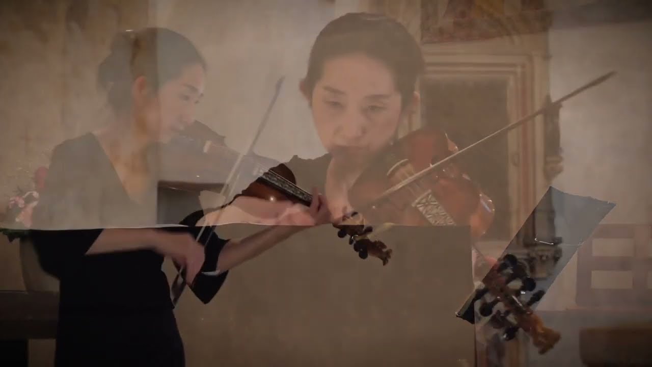 ビオラ・ダモーレ・マエストロ Baroque style song Master 7×7 strings 14