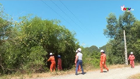 Đảm bảo an toàn hành lang lưới điện trong mùa mưa bão
