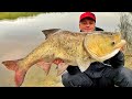 ЖЕСТЬ!😱 ЦЕЙ МОНСТР ТЯГНЕ У ВОДУ! Ловля жереха на спінінг весною 2023! Жерех у квітні 2023!