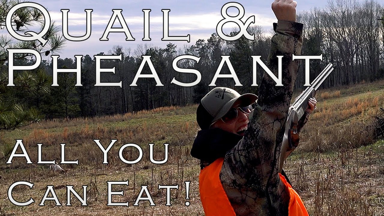 QUAIL, PHEASANT & CHUKAR HUNTING! We SHOT til we RAN OUT OF SHELLS
