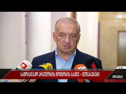 სამოქალაქო არეულობის მოწყობის საქმე - შეფასებები პოლიტიკურ სპექტრში